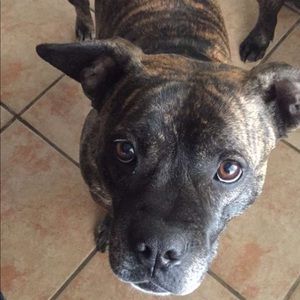 Meet your Posher, Isaac